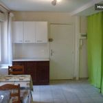 Rent 2 bedroom apartment of 30 m² in Grenoble