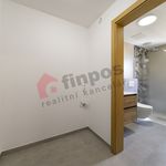 Rent 1 bedroom apartment of 24 m² in Plzeň
