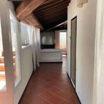Rent 3 bedroom apartment of 84 m² in Florence