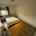 Rent 2 bedroom apartment of 70 m² in Eindhoven