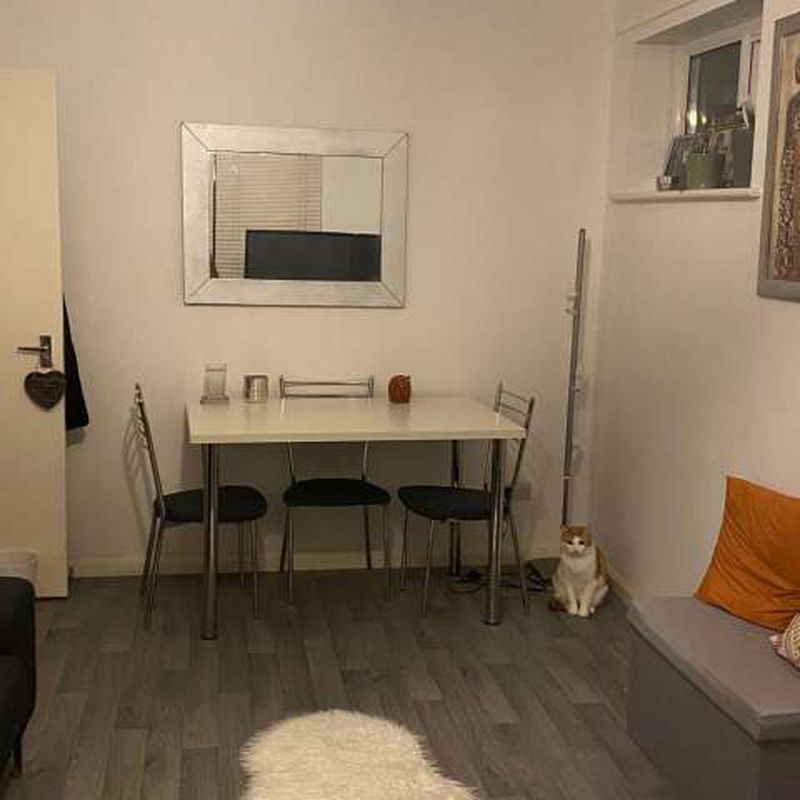 Room for rent in 2-bedroom apartment in London, London