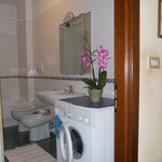 Rent 1 bedroom apartment of 38 m² in Torino