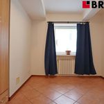 Rent 3 bedroom apartment of 72 m² in Brno