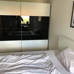 Rent 2 bedroom apartment of 54 m² in München