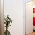 Kamer van 50 m² in Molenbeek-Saint-Jean