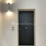 Rent 4 bedroom apartment of 150 m² in Mantova