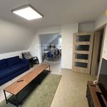 Rent 1 bedroom house of 250 m² in Frýdek-Místek
