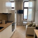 Rent 1 bedroom apartment of 22 m² in Lodz