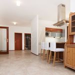 Rent 1 bedroom apartment of 150 m² in Milhostov