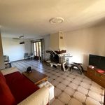 Rent 4 bedroom apartment of 92 m² in Furiani
