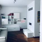 Rent 2 bedroom apartment of 65 m² in Basiglio