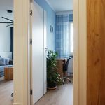 Rent 2 bedroom apartment of 42 m² in Gorzów Wielkopolski