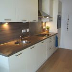Rent 1 bedroom apartment of 65 m² in Breda