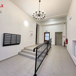 Rent 2 bedroom apartment of 60 m² in Zatec
