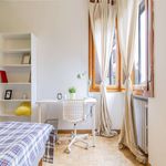 Rent a room of 116 m² in Padova