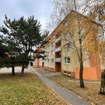 Rent 1 bedroom apartment of 34 m² in Třebíč