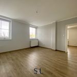 Rent 6 bedroom apartment in Liberec
