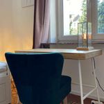 Rent a room in brussels
