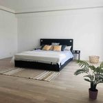 Rent 1 bedroom apartment of 1399 m² in Hasselt