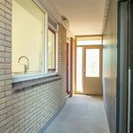Huur 4 slaapkamer appartement van 94 m² in Delft