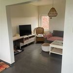 Rent 4 bedroom house of 150 m² in Maaseik