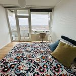 Rent a room of 86 m² in cologne