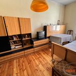 Rent 1 bedroom apartment of 45 m² in Poznań
