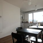 Rent a room of 270 m² in Praha