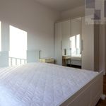 Wynajmij 3 sypialnię apartament z 56 m² w Katowice