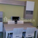 Affitto 4 camera appartamento di 110 m² in Porto Cesareo