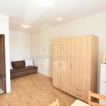 Rent 1 bedroom apartment in Praha - východ