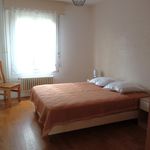 Rent 3 bedroom apartment of 65 m² in Lyon