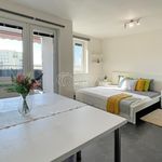 Pronajměte si 1 ložnic/e byt o rozloze 35 m² v Klecany