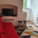 Rent 1 bedroom apartment of 21 m² in Pau