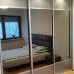 Rent 3 bedroom apartment of 80 m² in Poznań