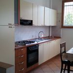 Affitto 2 camera appartamento di 100 m² in Frosinone