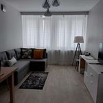 Wynajmij 1 sypialnię apartament z 23 m² w Warszawa