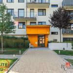 Rent 3 bedroom apartment in Praha 5