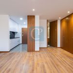 Rent 1 bedroom apartment of 43 m² in Porto