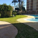 Habitación en Alicante