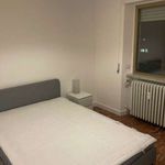 Affitto 5 camera appartamento di 120 m² in Roma