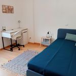 Rent 10 bedroom house in Coimbra