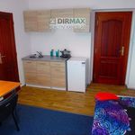 Rent 1 bedroom apartment of 31 m² in Plzeň