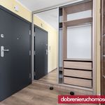 Rent 2 bedroom apartment of 41 m² in Bydgoszcz