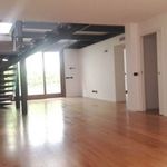 Rent 3 bedroom apartment of 153 m² in Milano