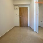 Rent 2 bedroom apartment of 38 m² in Havířov