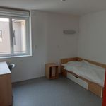 Appartement de 21 m² avec 1 chambre(s) en location à Oyonnax