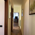 Affitto 3 camera appartamento di 74 m² in Pomezia