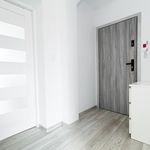 Rent 1 bedroom apartment of 33 m² in Poznań
