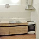 Rent 1 bedroom apartment in Nový Jičín